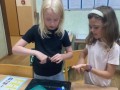thumbnail_IMG_1481