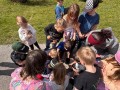 Bild7
