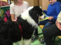 IMG-20221021-WA0007