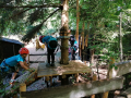 IMG-20220610-WA0006