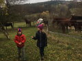 IMG-20221117-WA0023