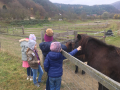 IMG-20221117-WA0026