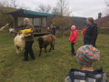IMG-20221117-WA0027