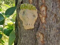IMG_20260626_110052